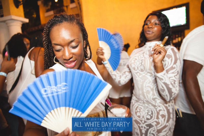 AllWhite-203-IMG_8482