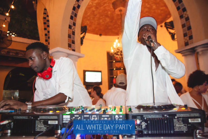 AllWhite-312-IMG_8712