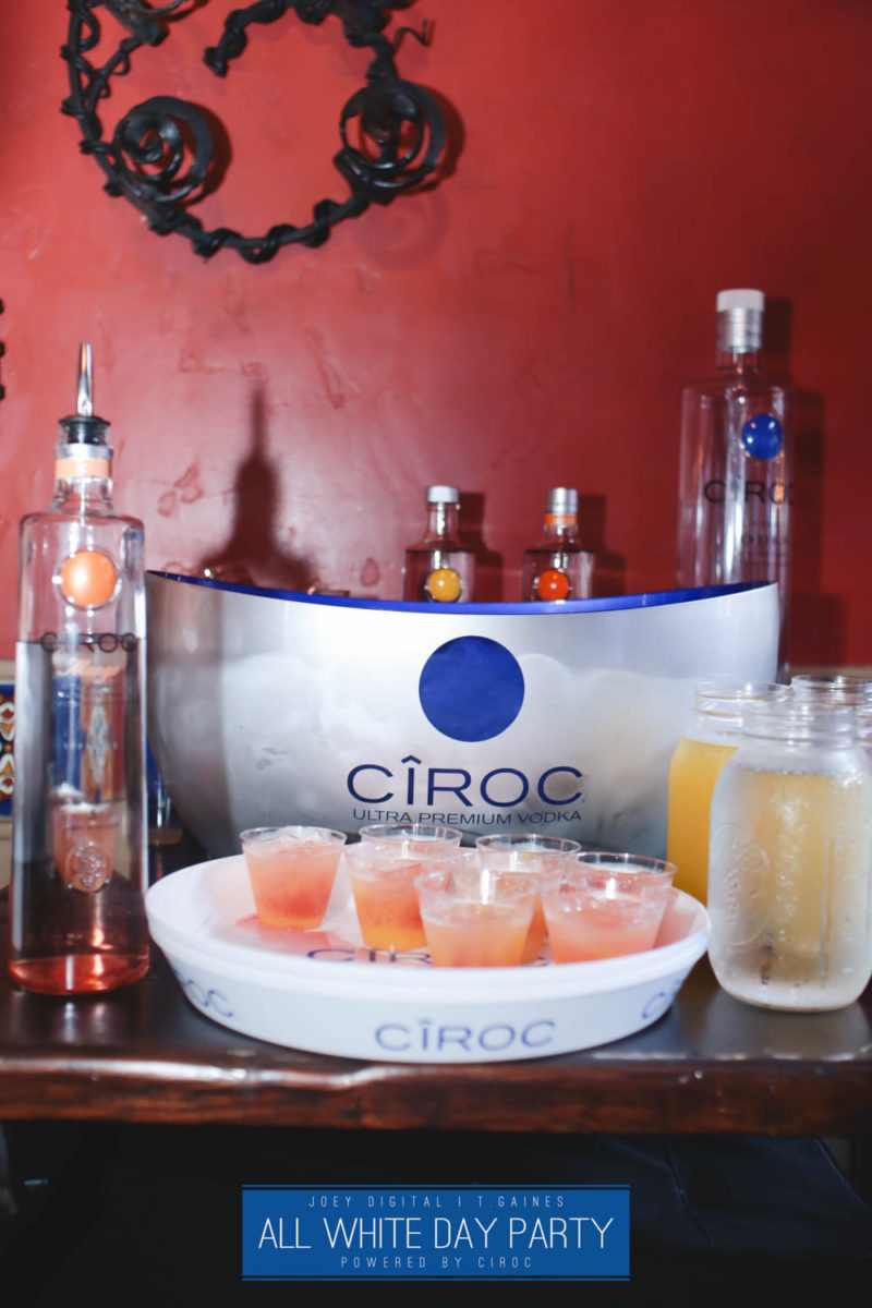 AllWhite-402-IMG_4400