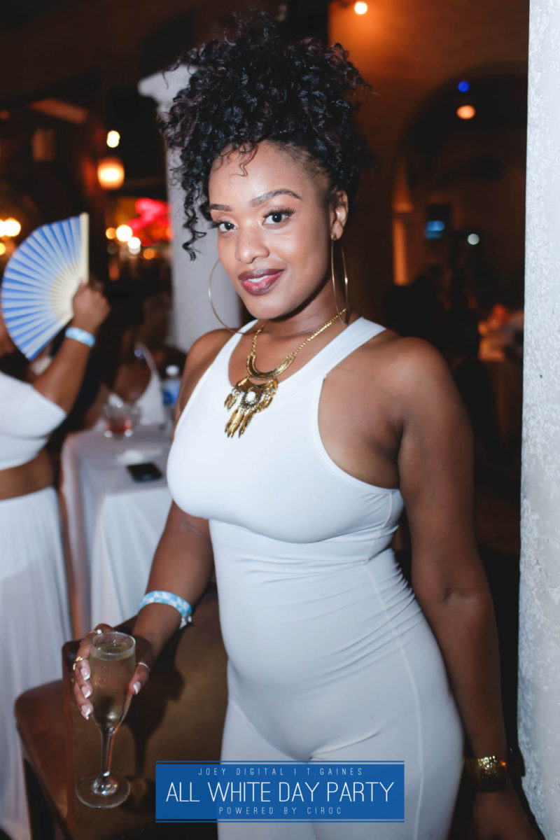 AllWhite-480-IMG_4511