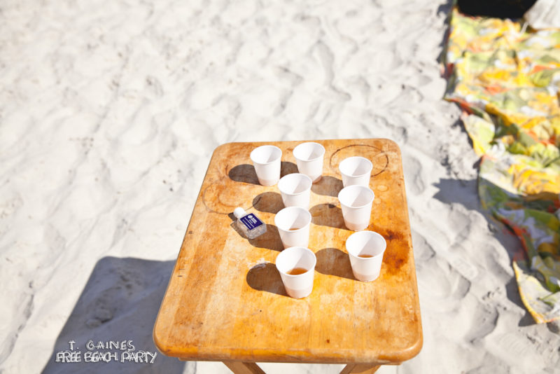 2015 T. Gaines Free Beach Party