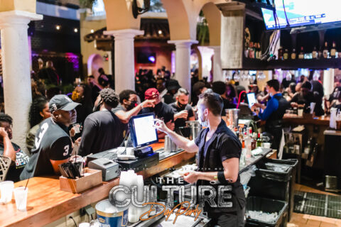 The Culture Day Party