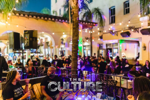 The Culture Day Party