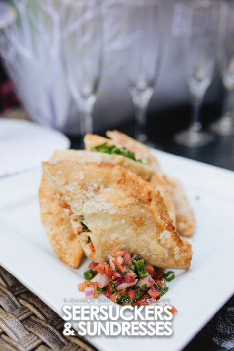 Seersuckers & Sundresses 2022 Part 3