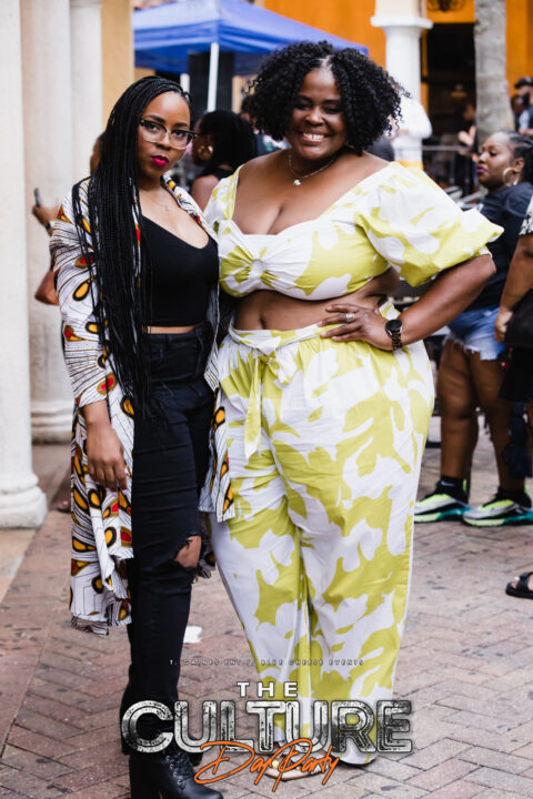 The Culture Day Party