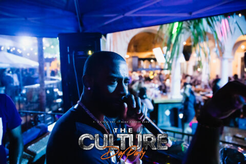The Culture Day Party
