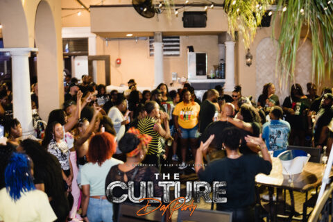 The Culture Day Party